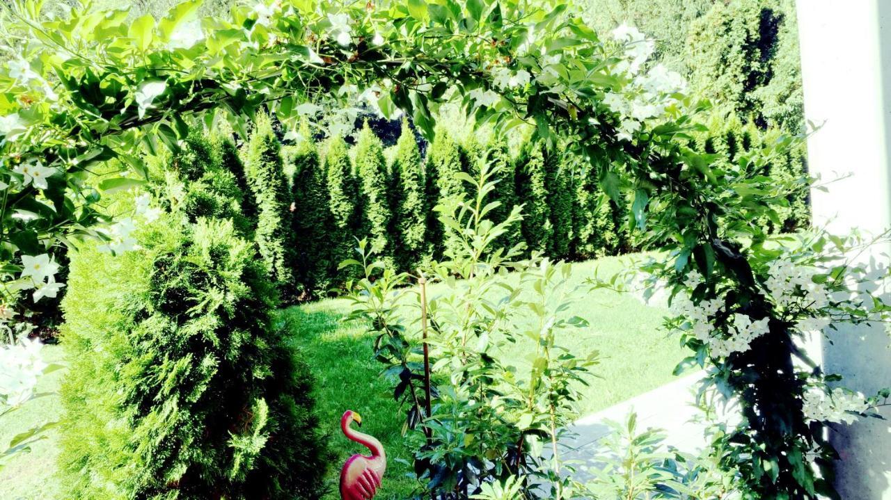 Flamind Holiday Apartments Mit Garten Und Grill Altenberg bei Linz Buitenkant foto